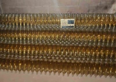 6-Blanc de blancs sur pointe