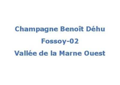 Benoît Déhu