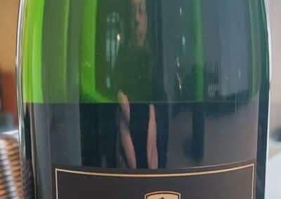 19-Chouilly Grand Cru (1)