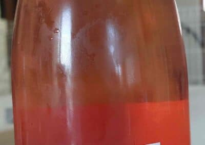 10-Tradition Rosé (2)