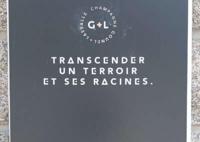 1C-Transcander
