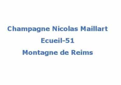 Nicolas Maillart