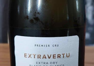 8-Extravertu (1)