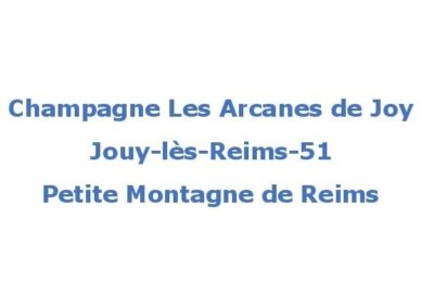 0-Les Arcanes de Joy