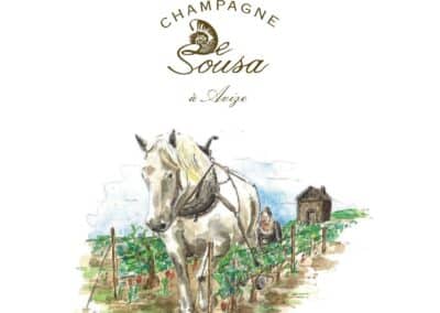 2A-Champagne de Sousa