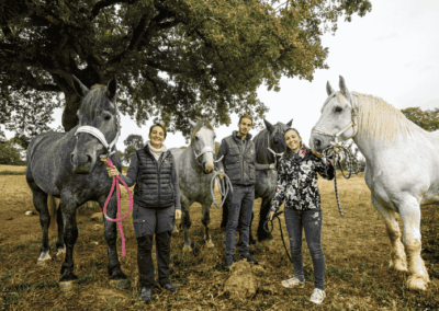 2C-Equipe et les chevaux